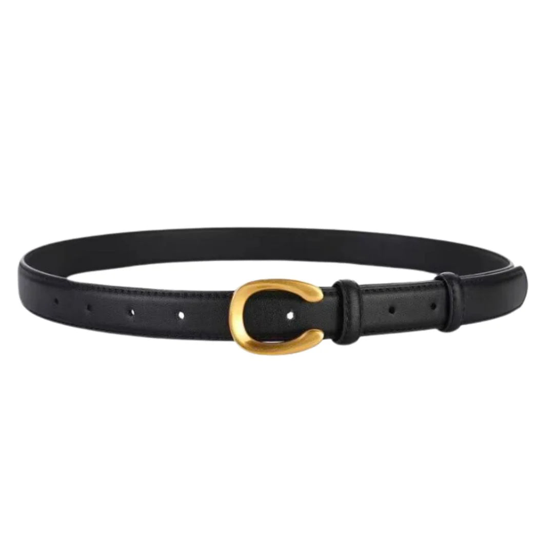 Small Horseshoe Belt
