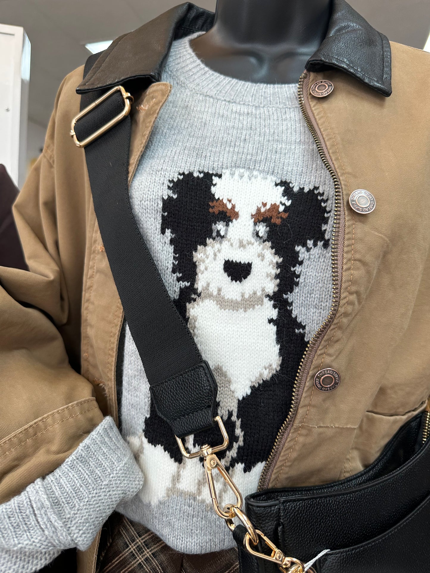 Puppy Graphic