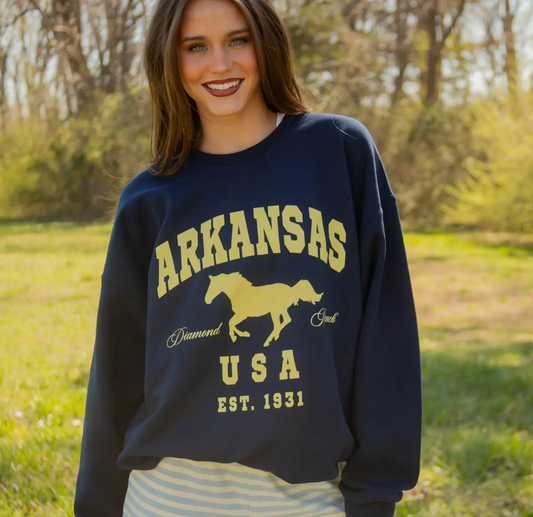 Ar Diamond Ranch Sweatshirt