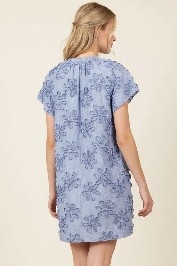 Floral Embroidered Mini Dress