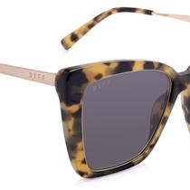 Becky IV Hazel Tortoise