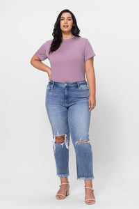 Plus Size High Rise Distressed Cropped Jeans