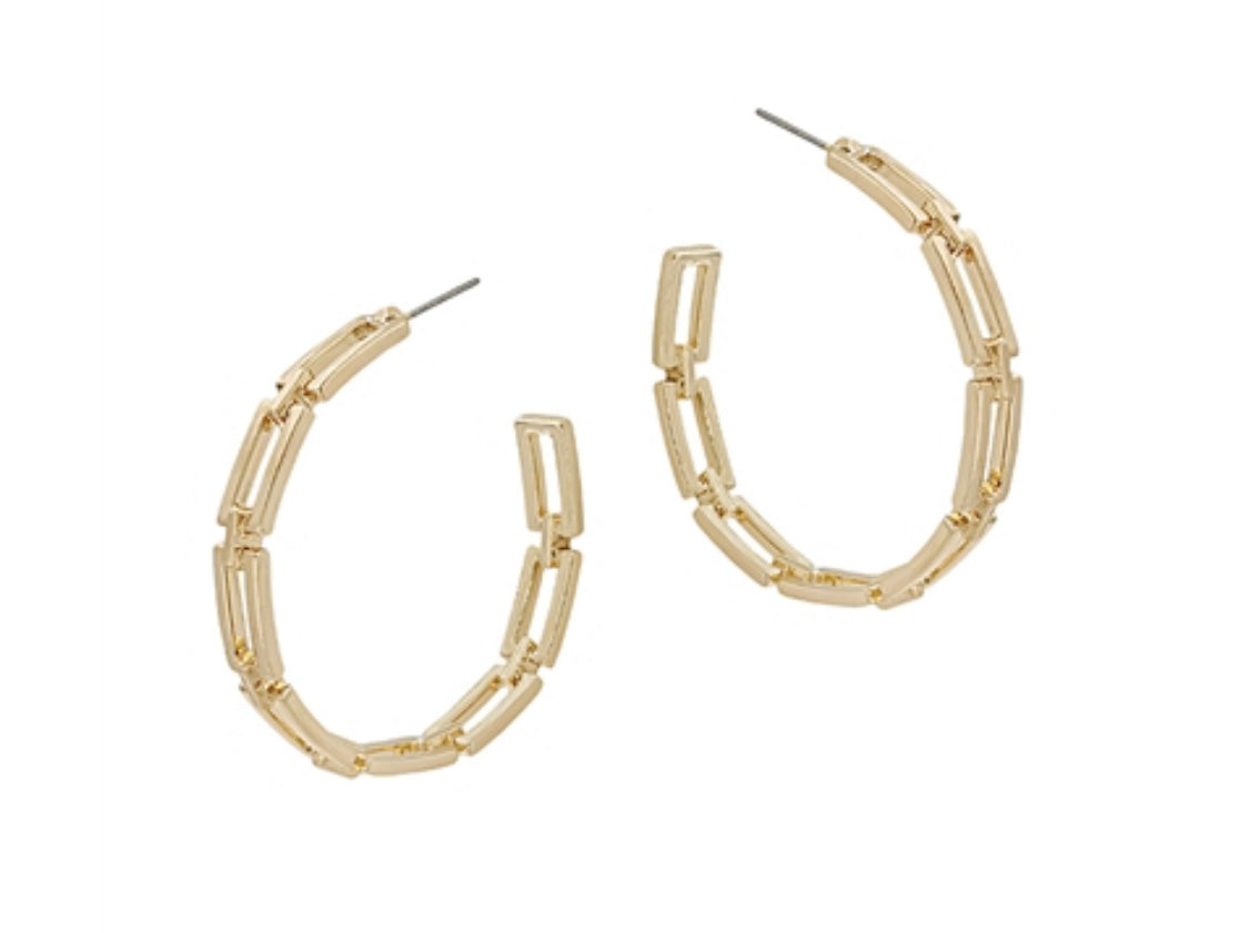 Matte Gold Chain Earrings