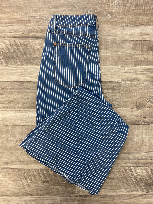 High Waist Pin Stripe Flare Curvy