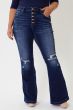 High Rise Distressed Flare Curvy
